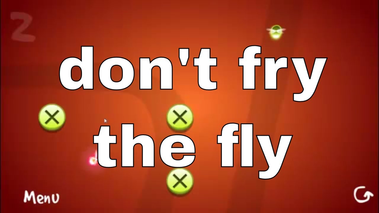 dont fry the fly image